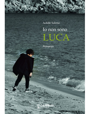 Io non sono Luca. Romanzo