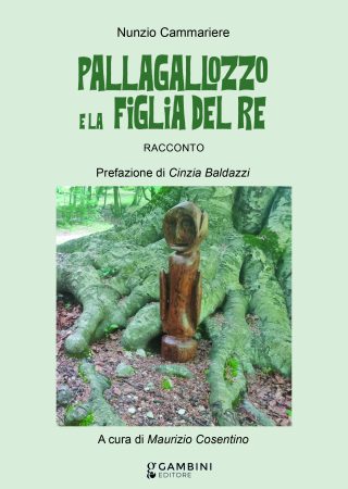 Pallagallozzo e la figlia del re di Nunzio Cammariere